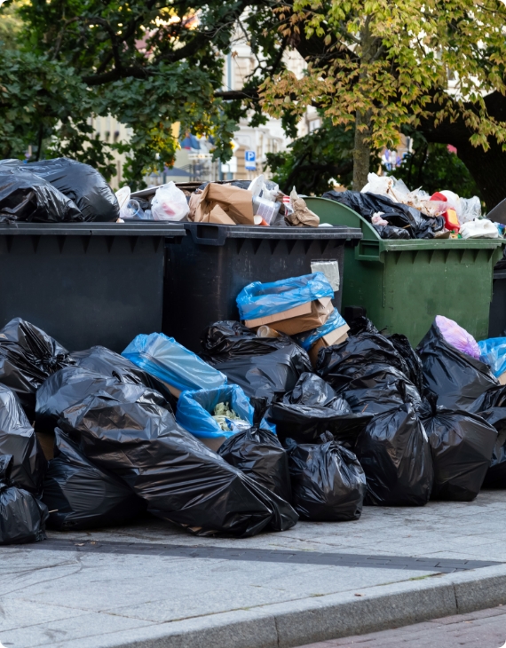 Coleta de Resíduos Comuns e Recicláveis